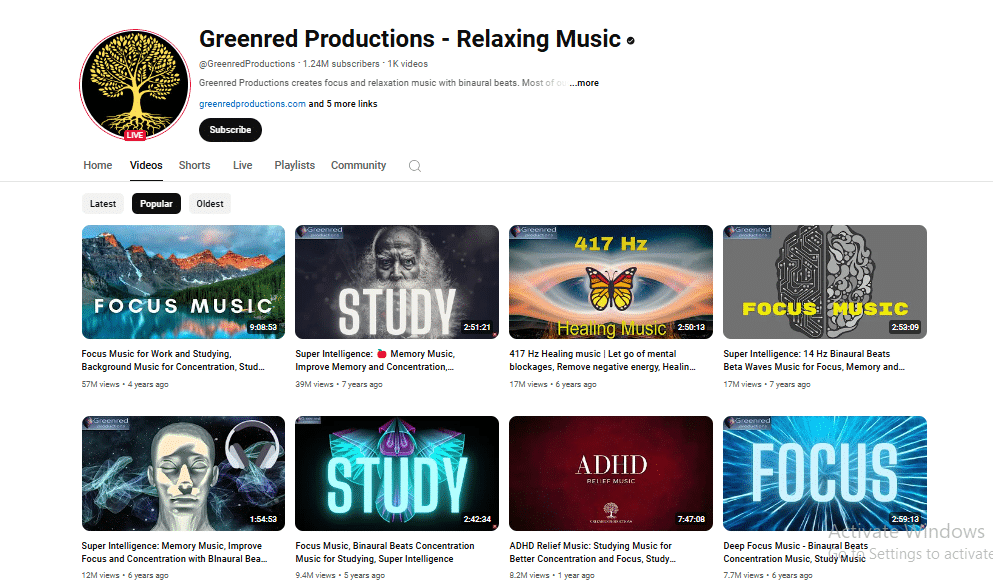 Relaxation and Study Music Youtube Automation niche